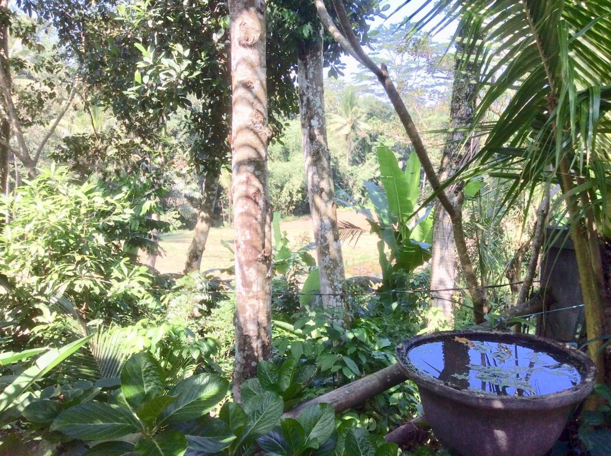 Rumah Irak Et Kadek Bali Ubud Kültér fotó