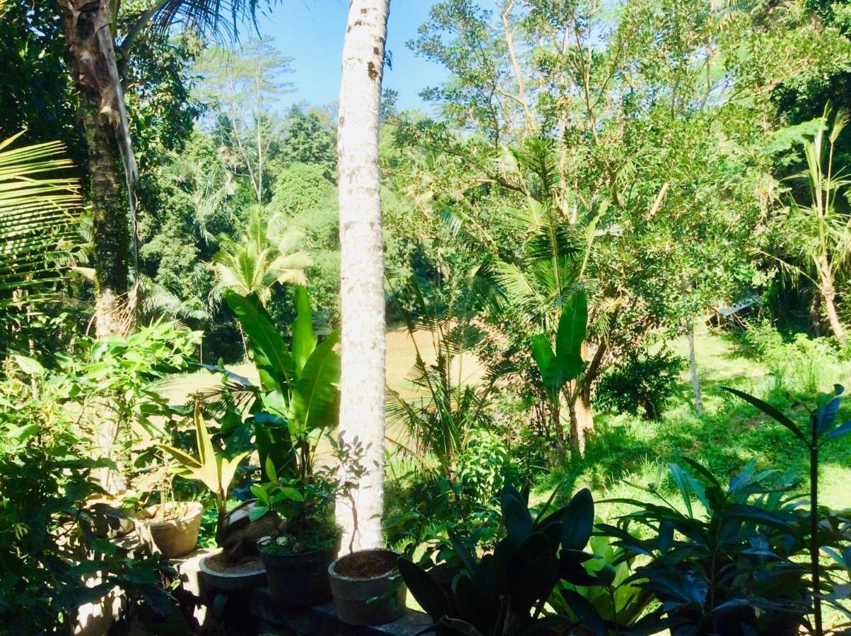 Rumah Irak Et Kadek Bali Ubud Kültér fotó