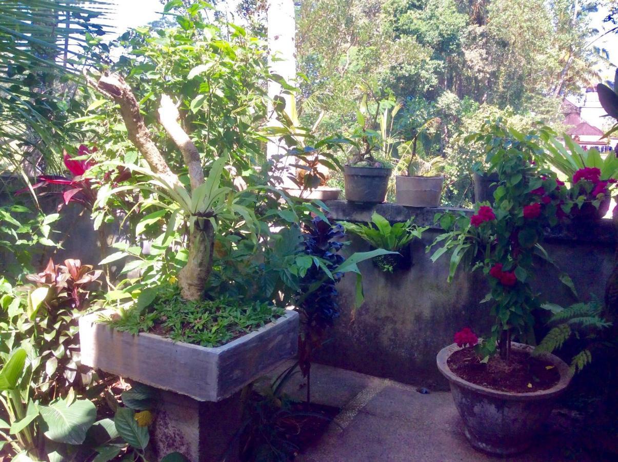 Rumah Irak Et Kadek Bali Ubud Kültér fotó