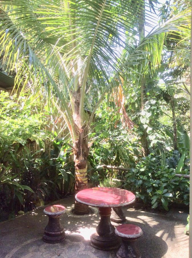 Rumah Irak Et Kadek Bali Ubud Kültér fotó