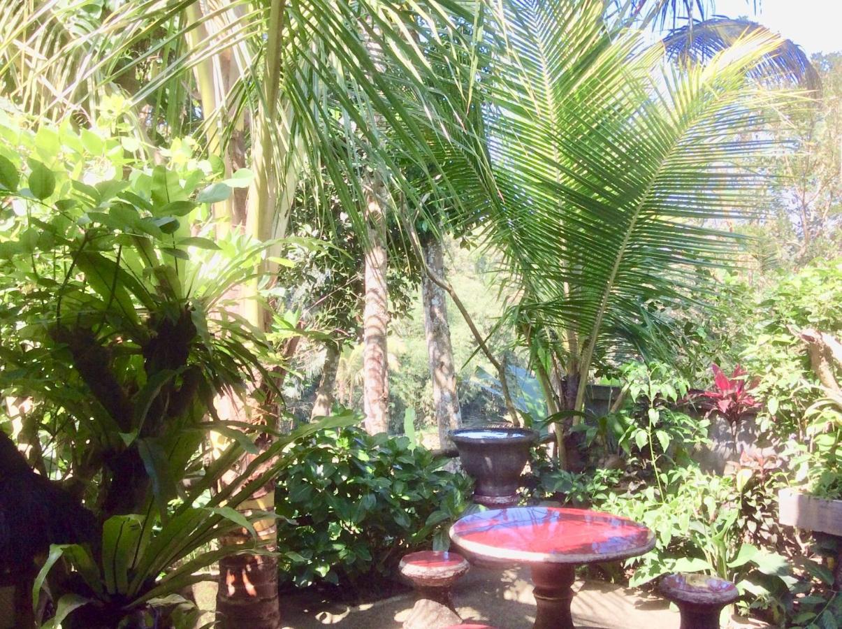Rumah Irak Et Kadek Bali Ubud Kültér fotó